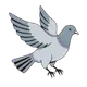 CheckinPigeon