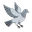 CheckinPigeon